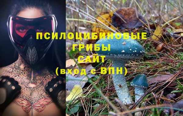 эйфоретик Иннополис