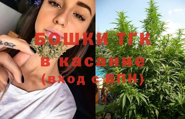 эйфоретик Иннополис