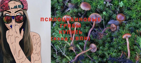 марки lsd Заволжье