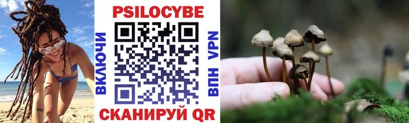 Псилоцибиновые грибы GOLDEN TEACHER Томмот